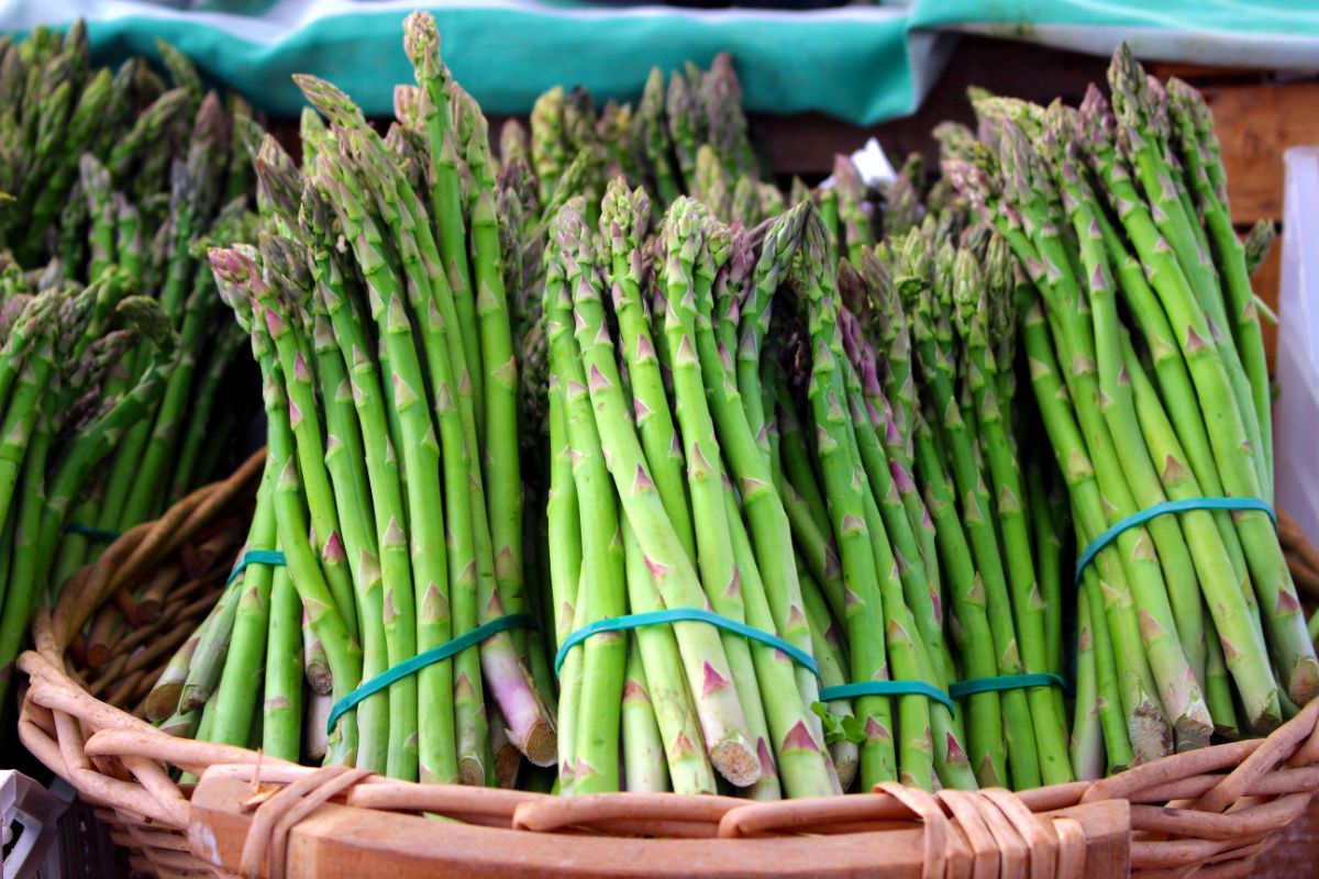 How To Freeze Asparagus