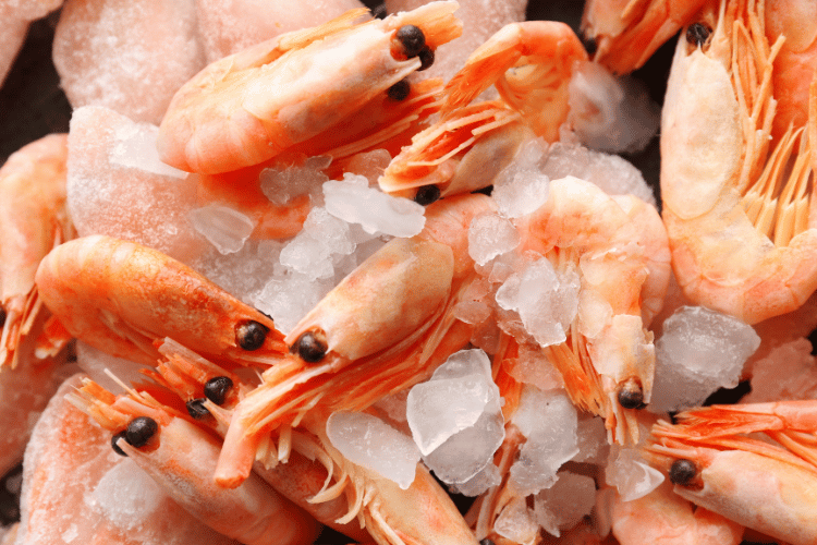 Close-up of frozen shrimps with ice