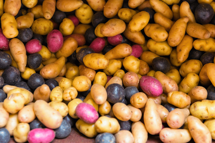 Variety of Potatoes
